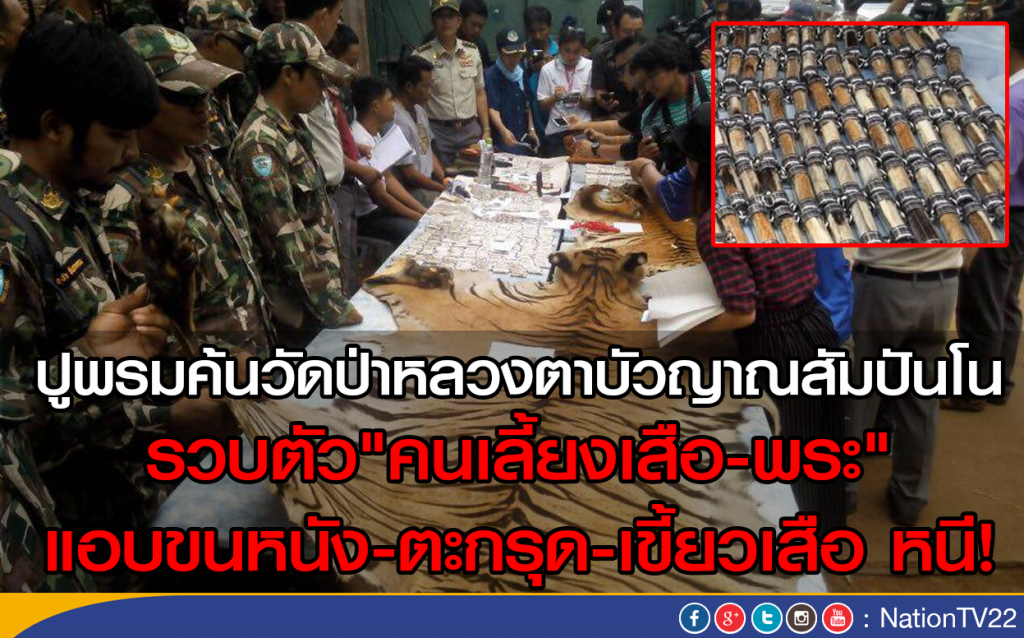 รวบตัว"คนเลี้ยงเสือ-พระ" 
แอบขนหนัง-ตะกรุด-เขี้ยวเสือ หนี