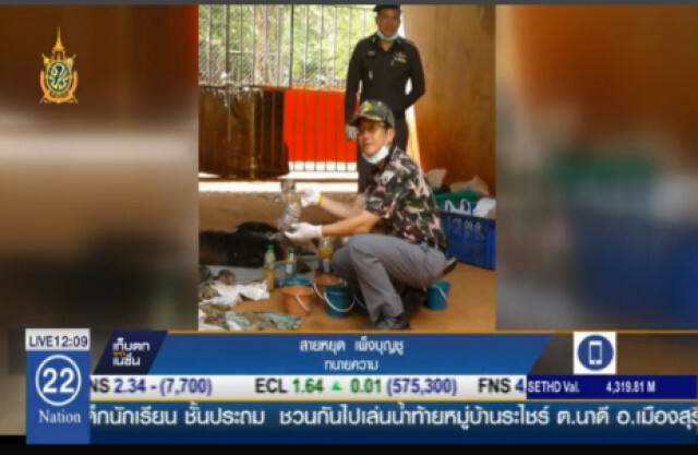 ทนายวัดเสือร้องขอความเป็นธรรม ยันไม่ได้ค้าซากลูกเสือ