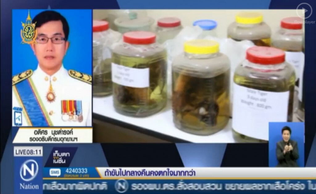 จ่อเอาผิดวัดหาผลประโยชน์จากเสือ
กรมอุทยานฯ ย้ำ "หลวงตาจันทร์" มีความผิด!