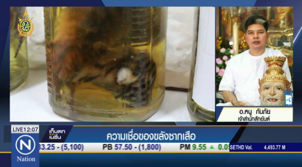 ความเชื่อของขลังซากเสือ ความเชื่อของขลังซากเสือ