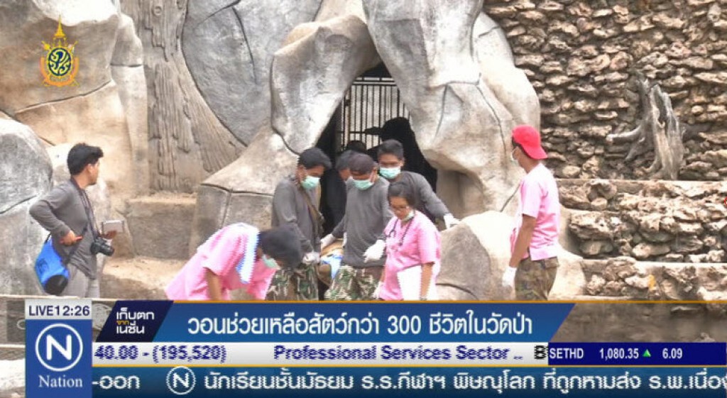 วอนช่วยเหลือสัตว์กว่า 300 ชีวิตในวัดป่า วอนช่วยเหลือสัตว์กว่า 300 ชีวิตในวัดป่า