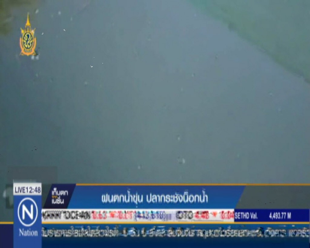 ฝนตกน้ำขุ่น ปลากระชังน็อกน้ำ ฝนตกน้ำขุ่น ปลากระชังน็อกน้ำ