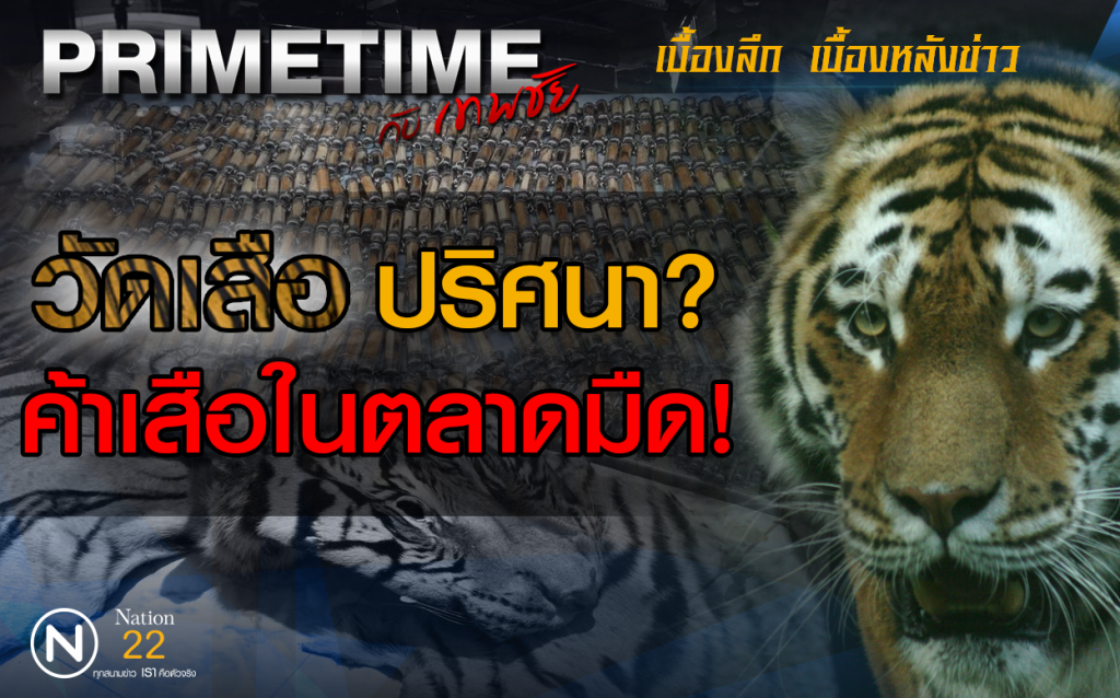 PRIMETIME กับ เทพชัย" : "วัดเสือ" ปริศนา? ค้าเสือในตลาดมืด