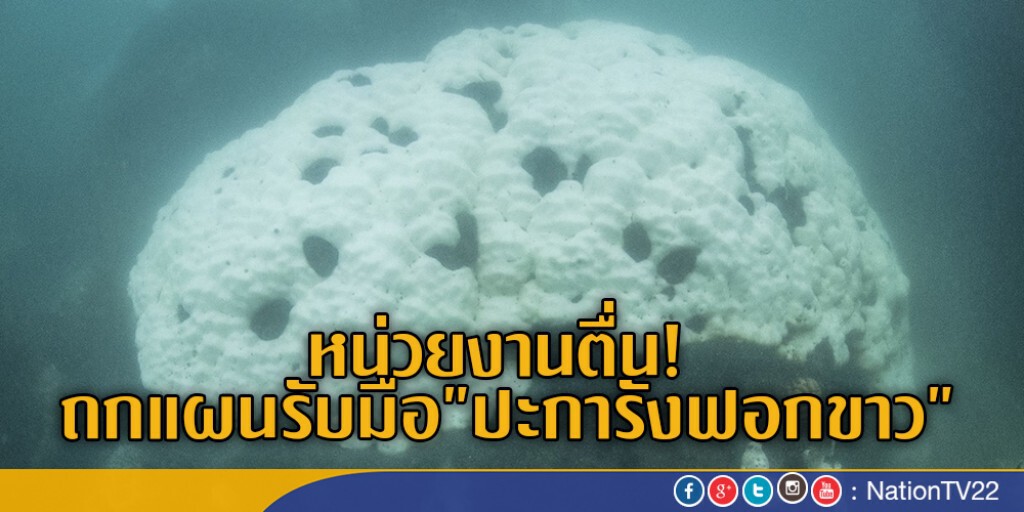 หน่วยงานตื่น! ถกแผนรับมือ"ปะการังฟอกขาว"