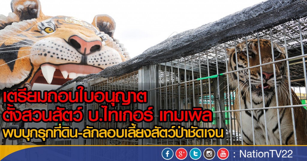 เตรียมถอนใบอนุญาตตั้งสวนสัตว์ บ.ไทเกอร์ เทมเพิล