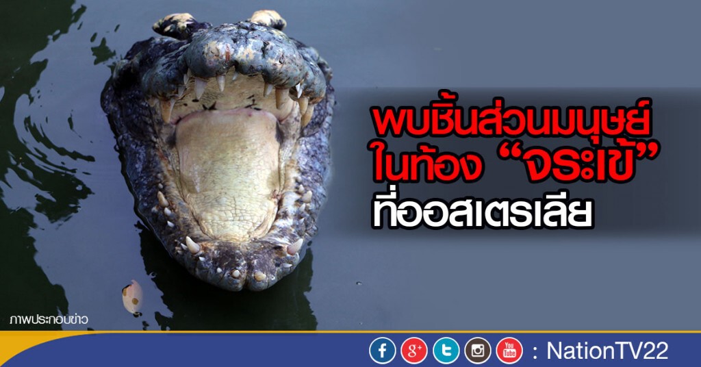 พบชิ้นส่วนมนุษย์ในท้องจระเข้ที่ออสเตรเลีย