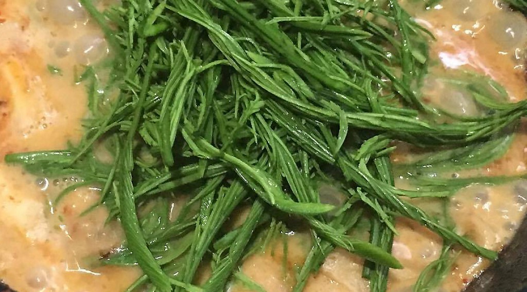 Cooking is Fun : แกงคั่วเห็ดนางฟ้ากับชะอม