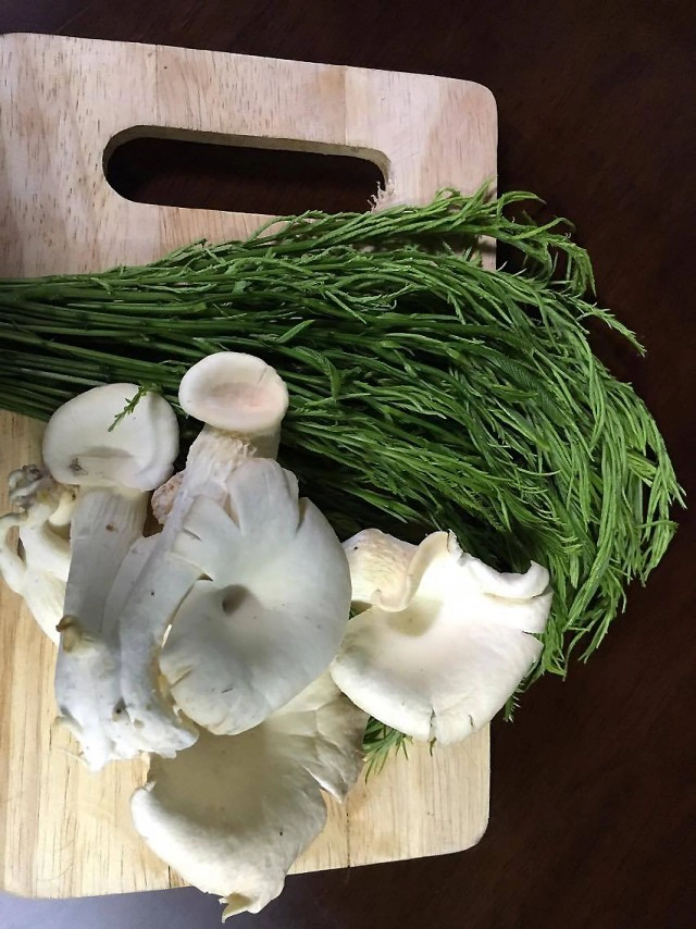 Cooking is Fun : แกงคั่วเห็ดนางฟ้ากับชะอม