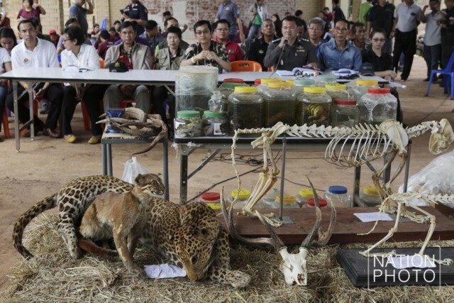 สำนักพุทธฯ เตรียมหารือ ส.ป.ก. เพิกถอนที่ดิน "วัดเสือ"