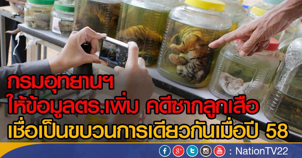 กรมอุทยานฯ ให้ข้อมูลตร.เพิ่มคดีซากลูกเสือ กรมอุทยานฯ ให้ข้อมูลตร.เพิ่มคดีซากลูกเสือ
