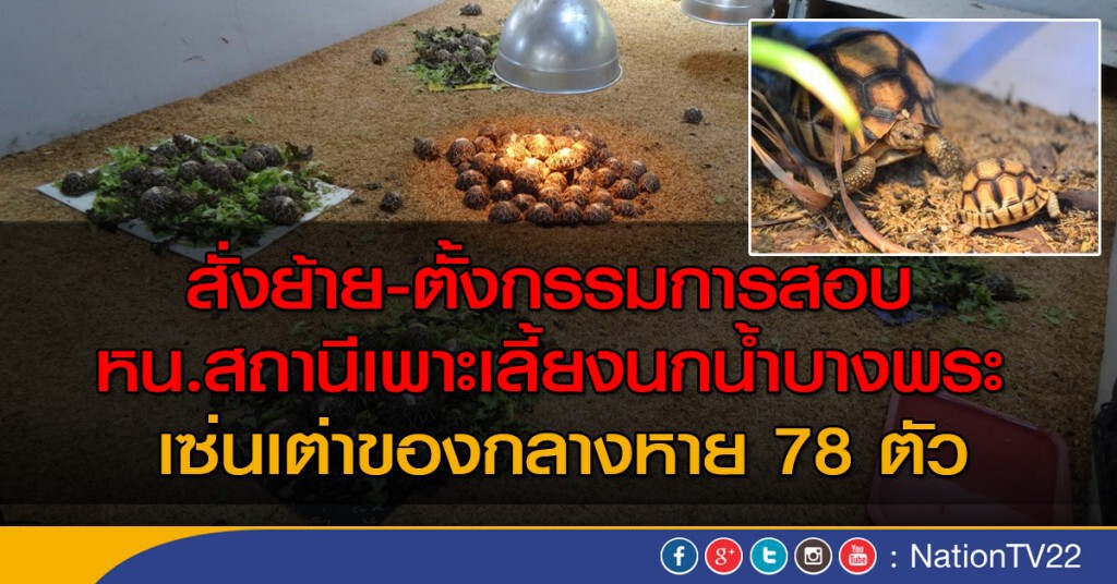 สั่งย้าย - ตั้งกรรมการสอบ
หน.สถานีเพาะเลี้ยงนกน้ำบางพระ
หลังเต่าของกลางหาย 78 ตัว สั่งย้าย - ตั้งกรรมการสอบ
หน.สถานีเพาะเลี้ยงนกน้ำบางพระ
หลังเต่าของกลางหาย 78 ตัว