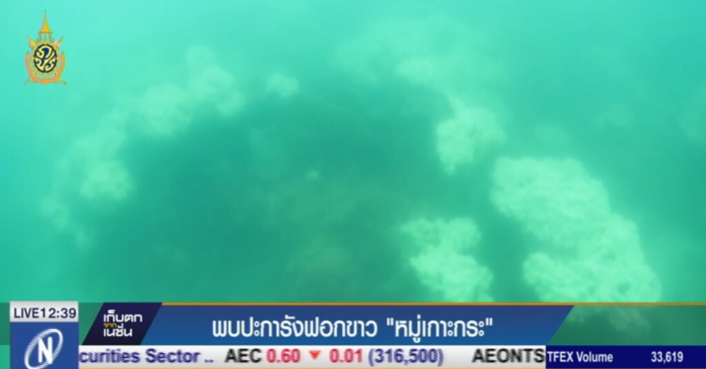 พบปะการังฟอกขาว "หมู่เกาะกระ"