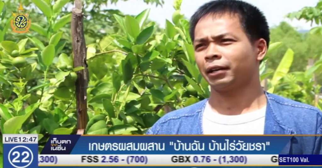 เกษตรผสมผสาน "บ้านฉัน บ้านไร่วัยชรา" เกษตรผสมผสาน "บ้านฉัน บ้านไร่วัยชรา"