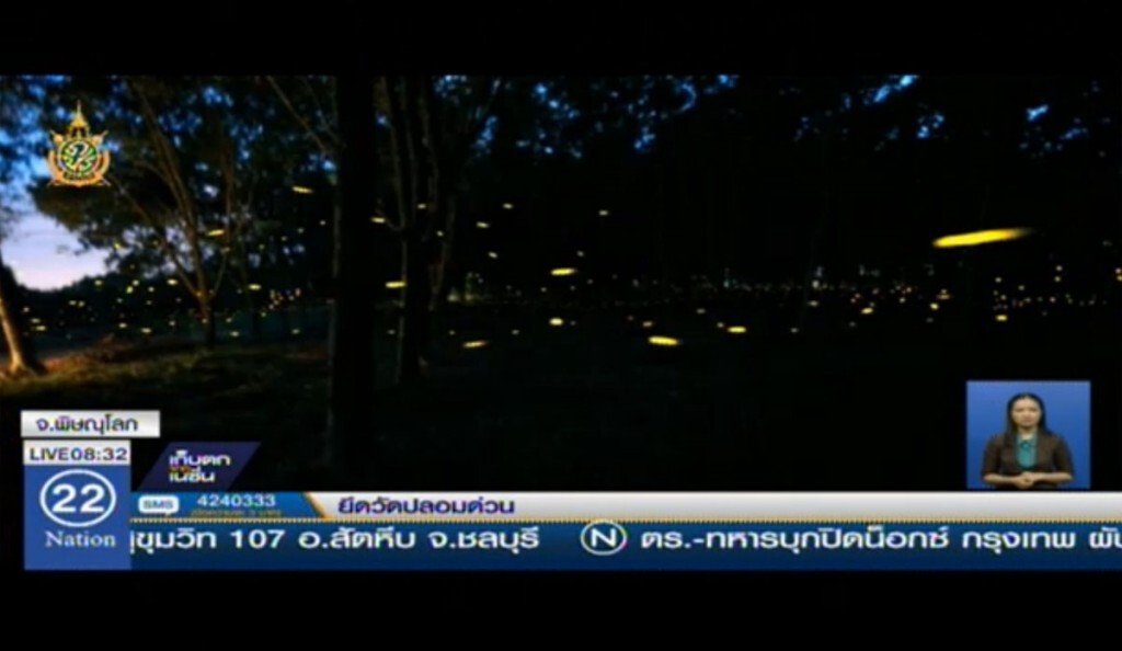 ตื่นตาตื่นใจ หิ่งห้อยบ้านรักไทย