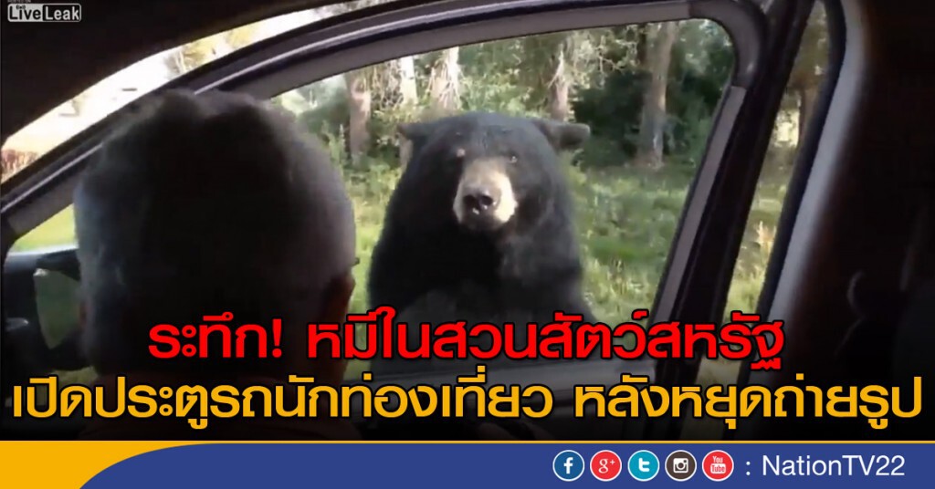 ระทึก! หมีเปิดประตูรถนักท่องเที่ยว ระทึก! หมีเปิดประตูรถนักท่องเที่ยว