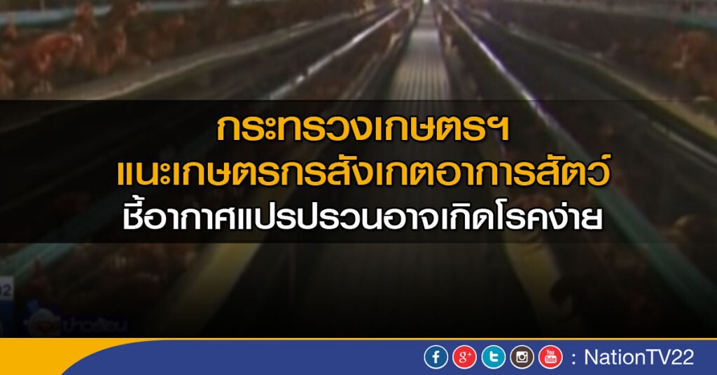 เฝ้าระวังโรคระบาดสัตว์ในฤดูฝน เฝ้าระวังโรคระบาดสัตว์ในฤดูฝน