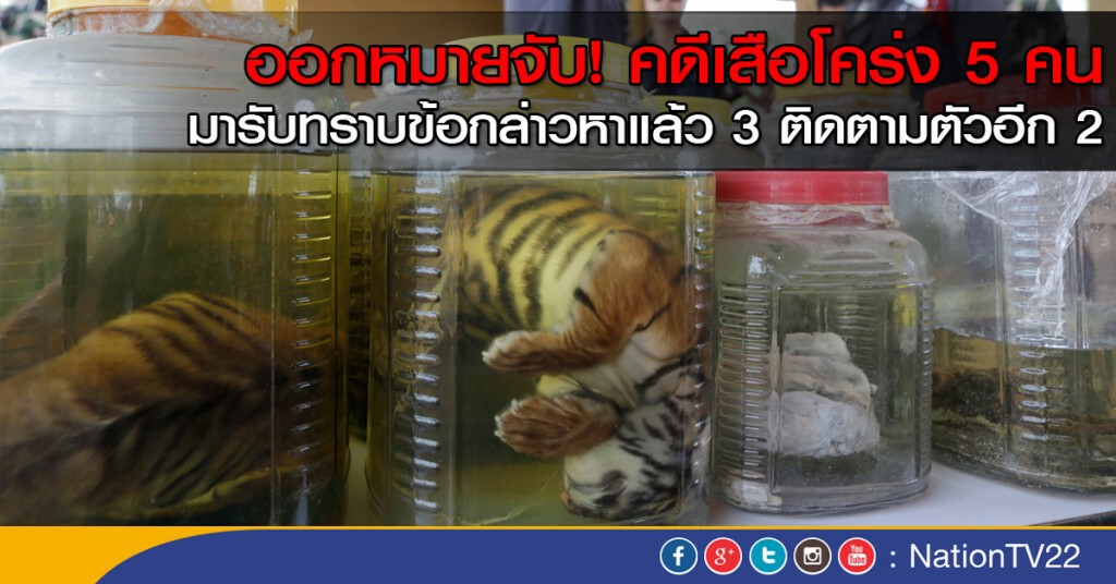 ตำรวจออกหมายจับคดีเสือโคร่ง 5 คน ตำรวจออกหมายจับคดีเสือโคร่ง 5 คน