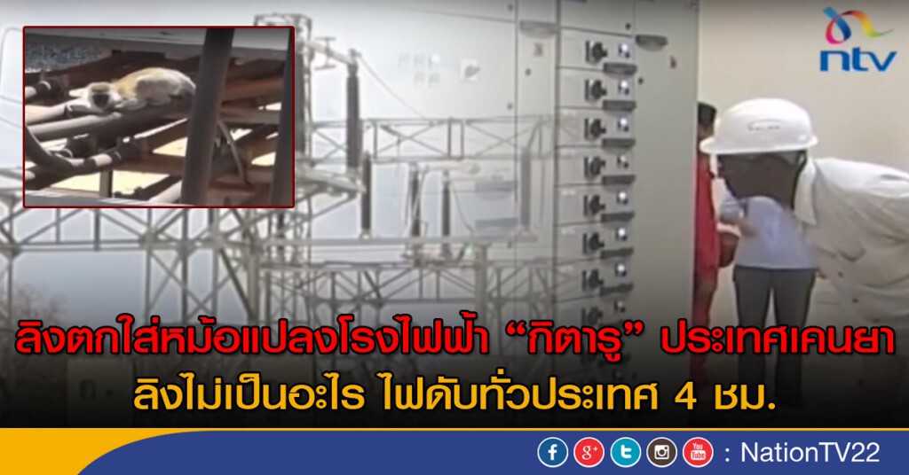 ลิง ตกไปในหม้อแปลงโรงไฟฟ้าเคนยา ทำไฟดับทั่วประเทศ ลิง ตกไปในหม้อแปลงโรงไฟฟ้าเคนยา ทำไฟดับทั่วประเทศ