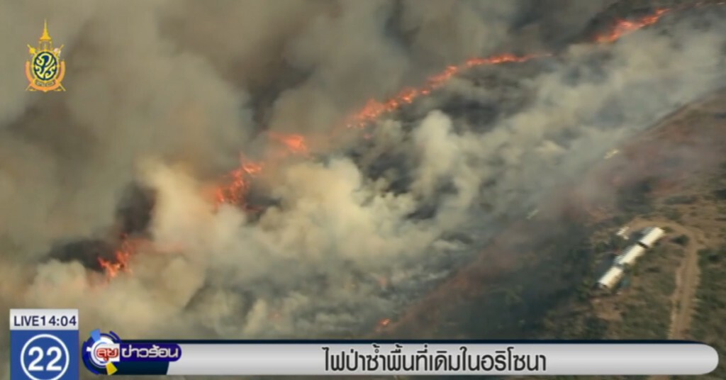 ไฟป่าซ้ำพื้นที่เดิมในอริโซนา ไฟป่าซ้ำพื้นที่เดิมในอริโซนา
