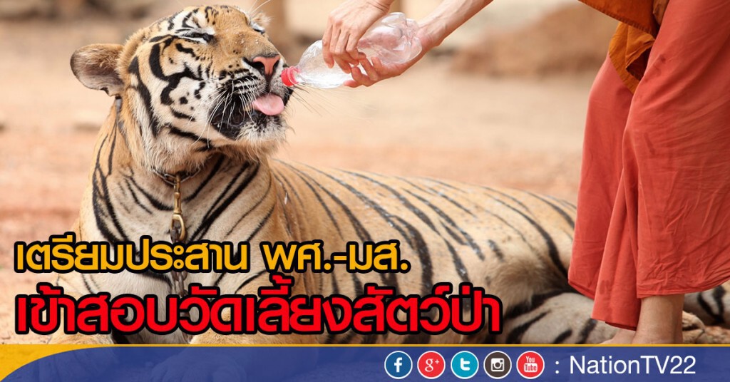 เตรียมประสาน พศ.-มส.เข้าสอบวัดเลี้ยงสัตว์ป่า