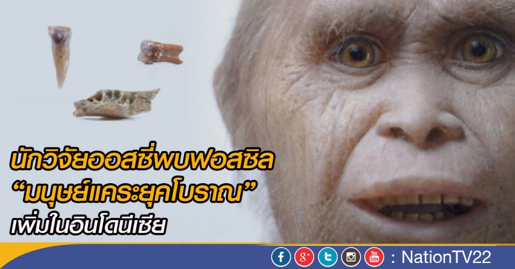 นักวิจัยออสซี่พบฟอสซิล"มนุษย์แคระยุคโบราณ"
เพิ่มในอินโดนีเซีย