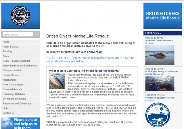 ไกด์หนุ่มช่วยโลมาเกยตื้น คืนทะเล
จุดกระแสวิจารณ์ ทำถูกต้องแล้วจริงหรือ ?