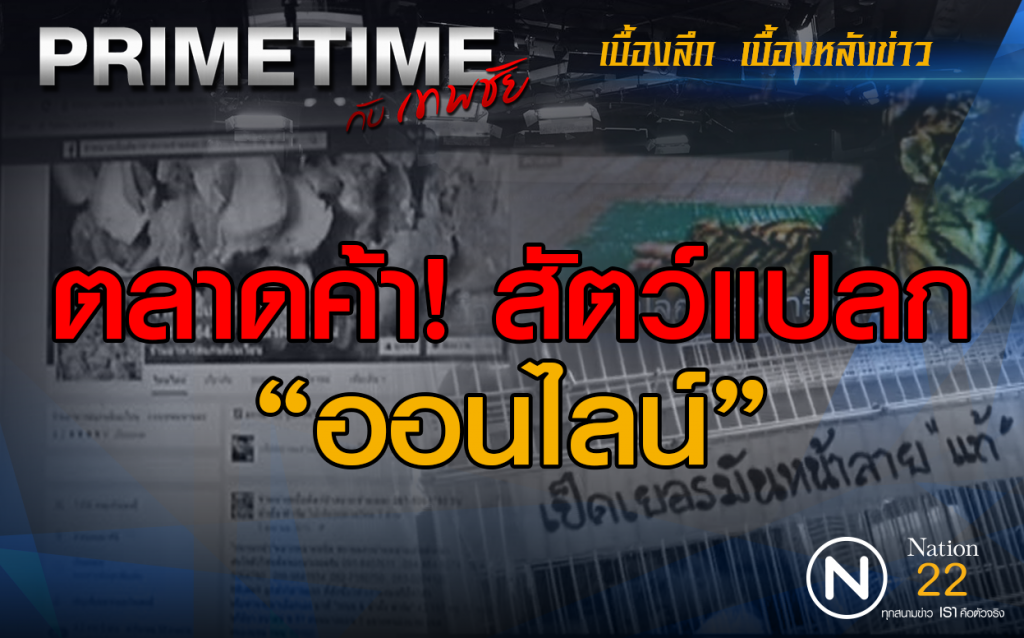 "‎PRIMETIME กับ เทพชัย"‬ : ตลาดค้าสัตว์แปลก "ออนไลน์"