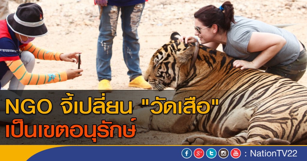NGO จี้เปลี่ยน "วัดเสือ" เป็นเขตอนุรักษ์ NGO จี้เปลี่ยน "วัดเสือ" เป็นเขตอนุรักษ์