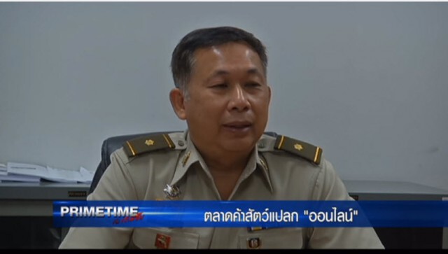 "‎PRIMETIME กับ เทพชัย"‬ : ตลาดค้าสัตว์แปลก "ออนไลน์"