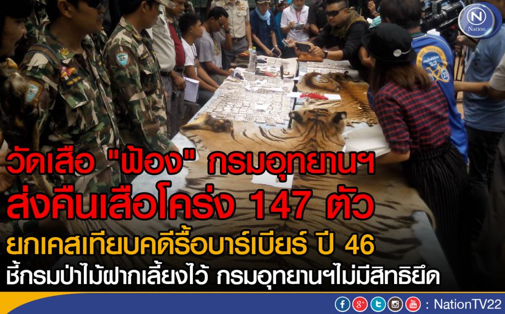 วัดเสือ "ฟ้อง" กรมอุทยานฯ
ส่งคืนเสือโคร่ง 147 กลับวัด วัดเสือ "ฟ้อง" กรมอุทยานฯ
ส่งคืนเสือโคร่ง 147 กลับวัด