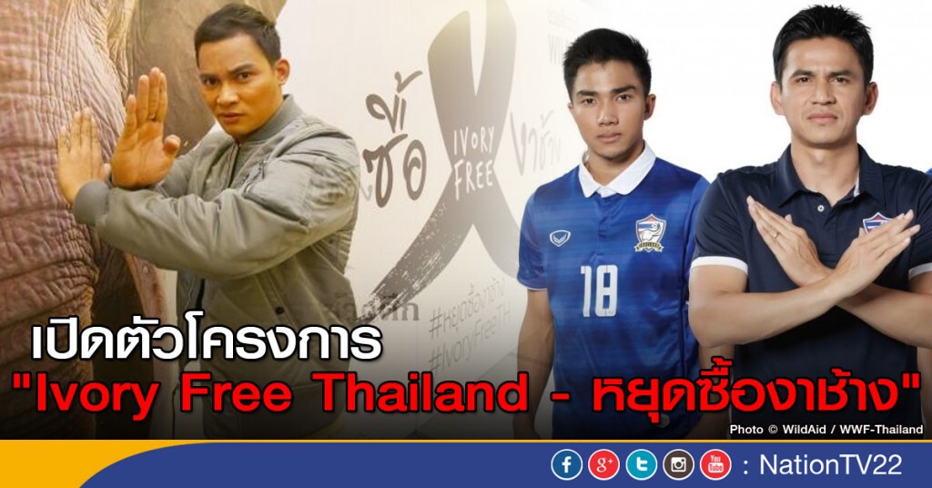 เปิดตัวโครงการ "Ivory Free Thailand - หยุดซื้องาช้าง" เปิดตัวโครงการ "Ivory Free Thailand - หยุดซื้องาช้าง"