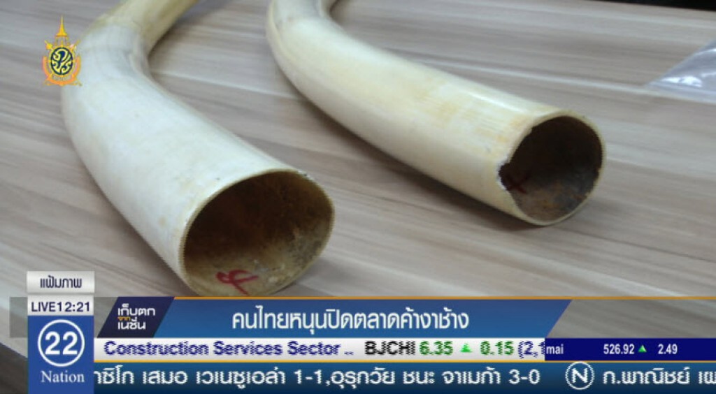 คนไทยหนุนปิดตลาดค้างาช้าง คนไทยหนุนปิดตลาดค้างาช้าง
