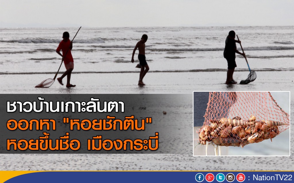ชาวบ้านเกาะลันตา ออกหา "หอยชักตีน" หอยขึ้นชื่อ จ.กระบี่ ชาวบ้านเกาะลันตา ออกหา "หอยชักตีน" หอยขึ้นชื่อ จ.กระบี่