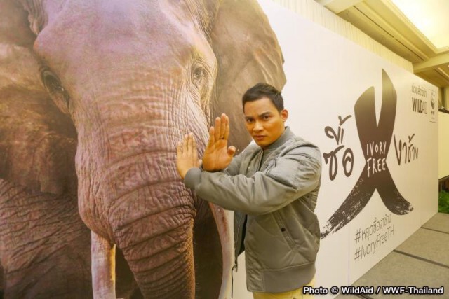 เปิดตัวโครงการ "Ivory Free Thailand - หยุดซื้องาช้าง"