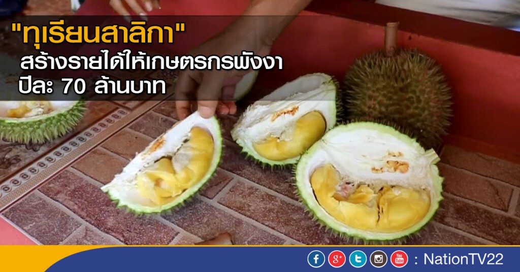 "ทุเรียนสาลิกา" สร้างรายได้ปีละ 70 ล้านบาท "ทุเรียนสาลิกา" สร้างรายได้ปีละ 70 ล้านบาท