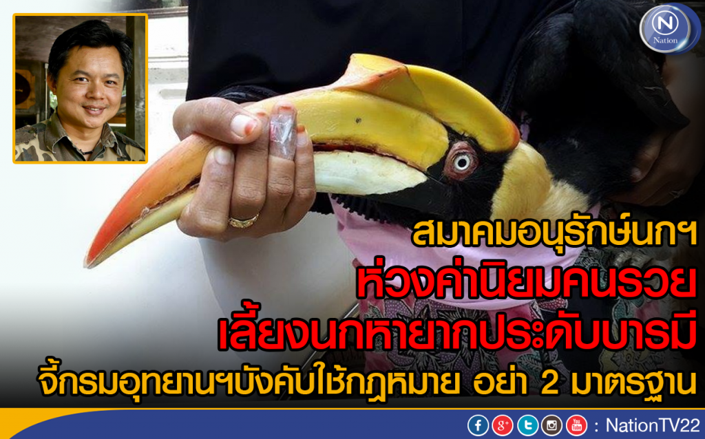 สมาคมอนุรักษ์นกฯ ห่วงค่านิยมคนรวย เลี้ยงนกหายากประดับบารมี สมาคมอนุรักษ์นกฯ ห่วงค่านิยมคนรวย เลี้ยงนกหายากประดับบารมี