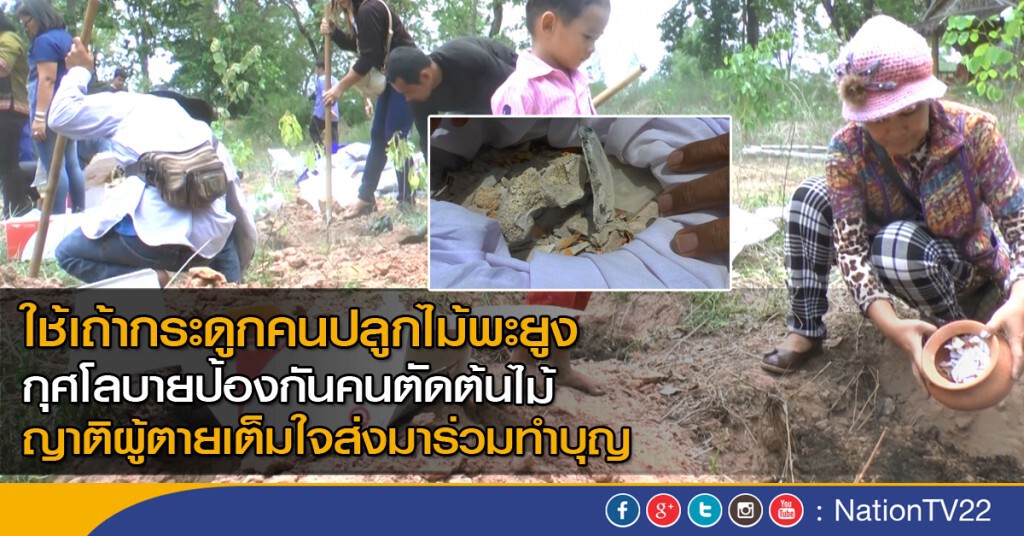 ปลูกป่าด้วยเถ้ากระดูกคน ปลูกป่าด้วยเถ้ากระดูกคน