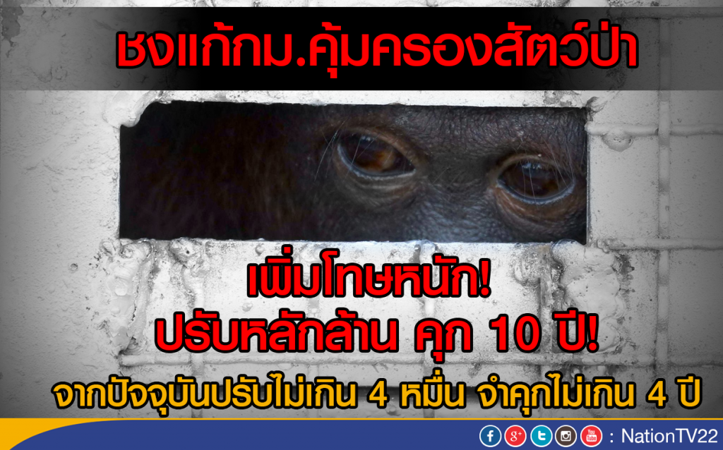 นายกฯ กำชับเร่งแก้กฎหมายค้าสัตว์ป่า นายกฯ กำชับเร่งแก้กฎหมายค้าสัตว์ป่า