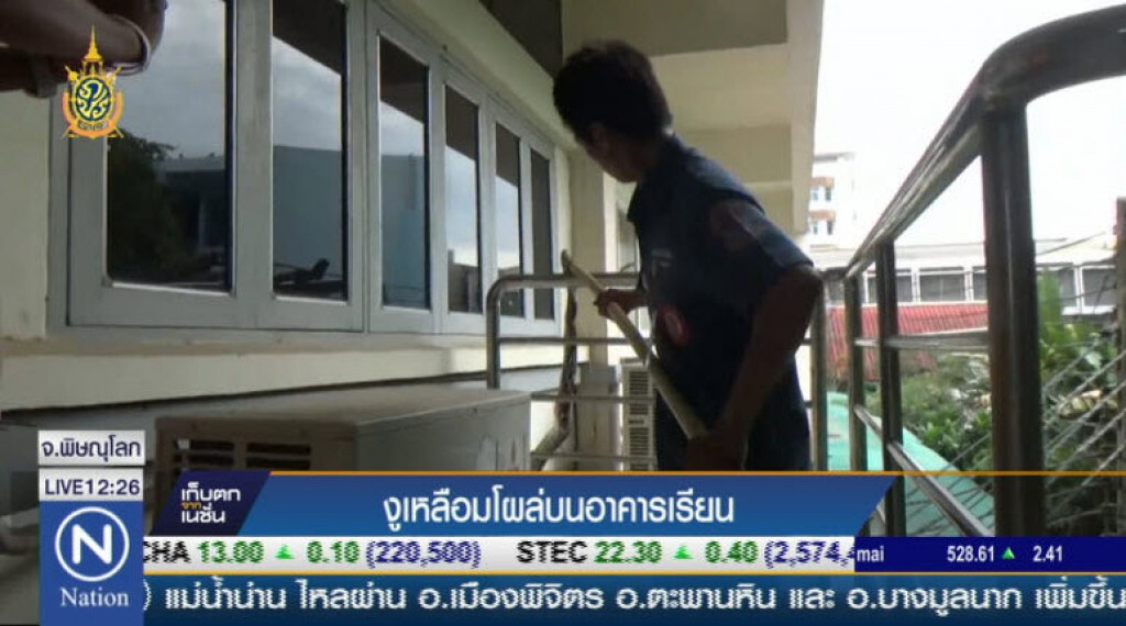 งูเหลือมโผล่บนอาคาร ร.ร.เฉลิมขวัญสตรี งูเหลือมโผล่บนอาคาร ร.ร.เฉลิมขวัญสตรี