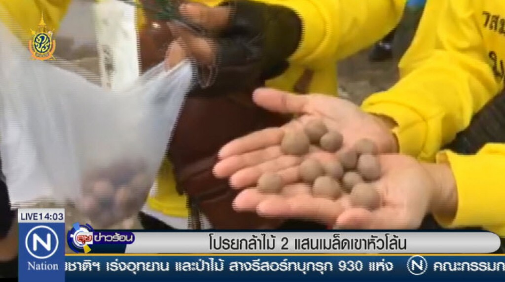 โปรยกล้าไม้ 2 แสนเมล็ดเขาหัวโล้น โปรยกล้าไม้ 2 แสนเมล็ดเขาหัวโล้น
