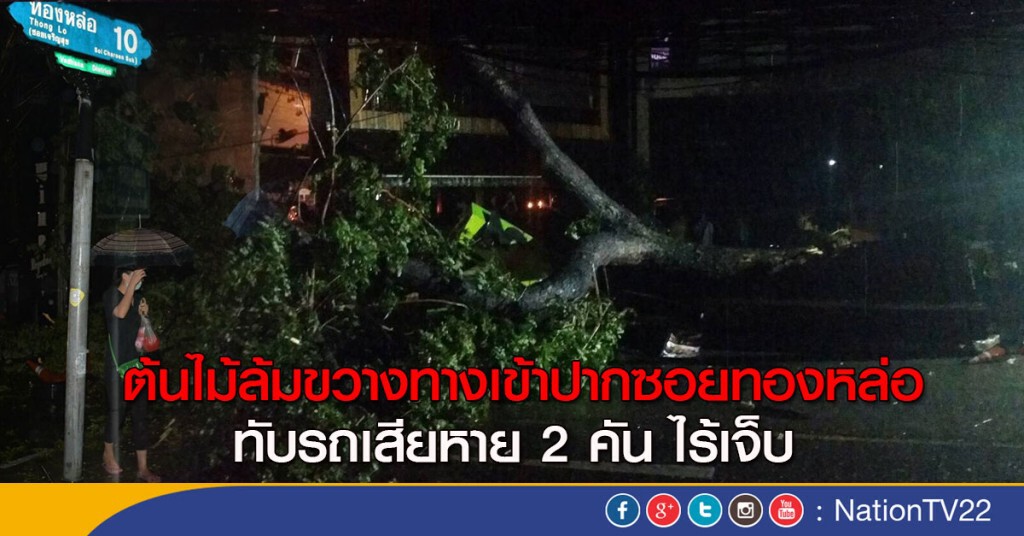 ต้นไม้ล้มขวางทางเข้าปากซอยทองหล่อ
ทับรถเสียหาย 2 คัน ไร้เจ็บ