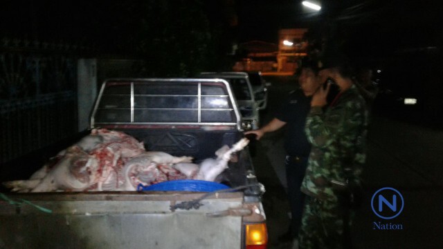 ยึดโรงชำแหละหมูเถื่อน