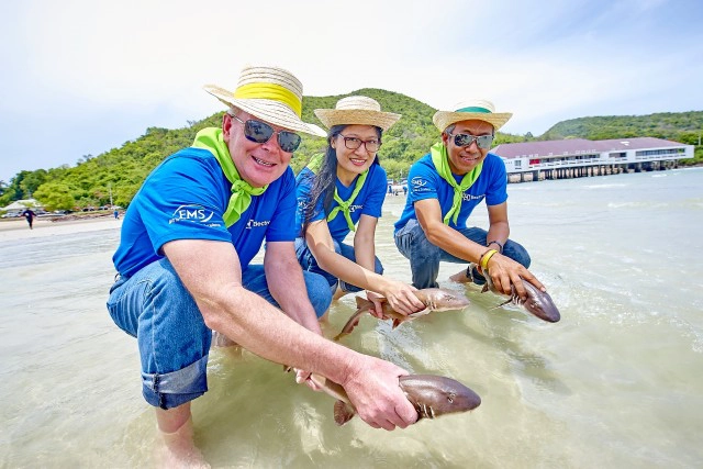 บริษัท อีเลคโทรลักซ์ ประเทศไทย จำกัด จัดกิจกรรมปลูกปะการัง ปล่อยสัตว์ทะเล โครงการ SAVE THE SEA