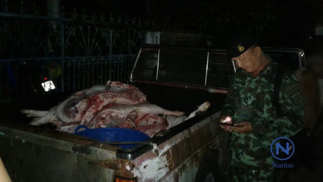 ยึดโรงชำแหละหมูเถื่อน