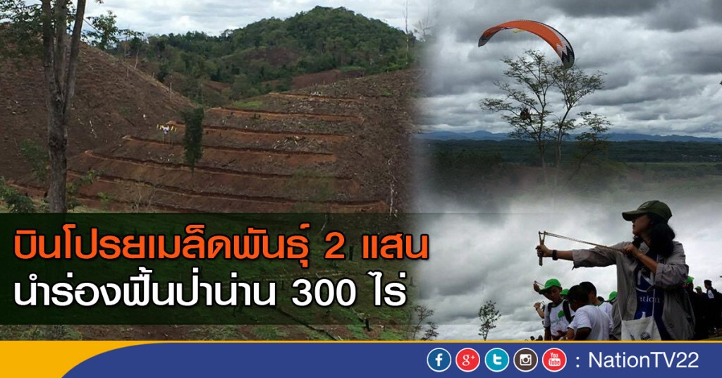 บินโปรยเมล็ดพันธุ์ฟื้นป่าน่าน บินโปรยเมล็ดพันธุ์ฟื้นป่าน่าน