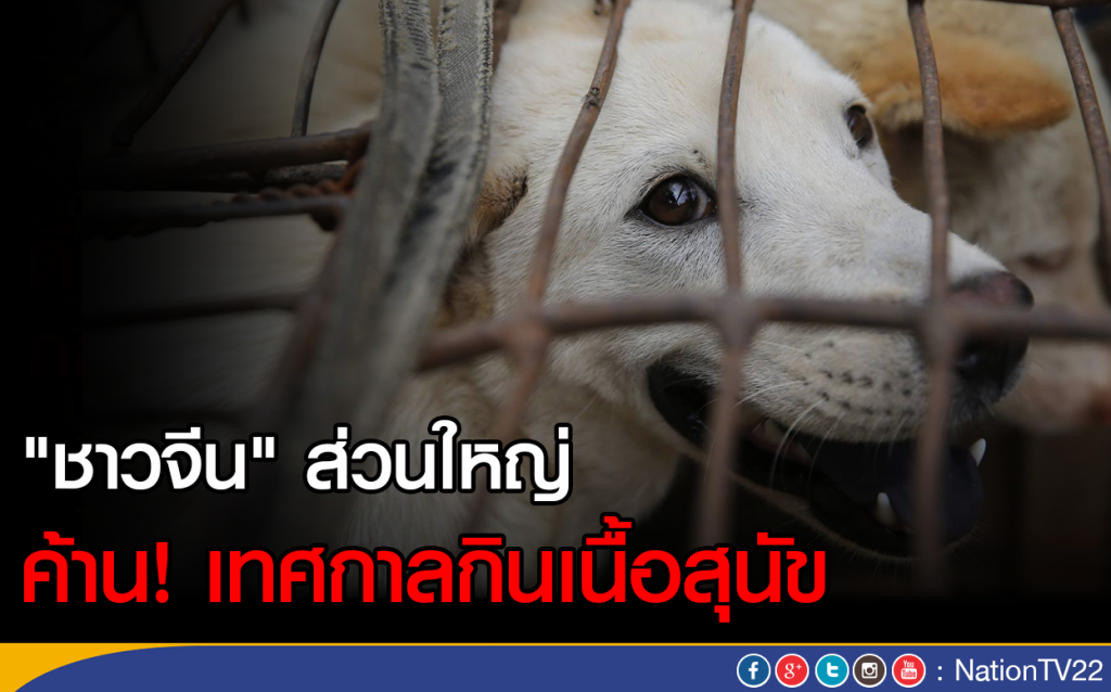 "ชาวจีน" ส่วนใหญ่ ค้านเทศกาลกินเนื้อสุนัข "ชาวจีน" ส่วนใหญ่ ค้านเทศกาลกินเนื้อสุนัข