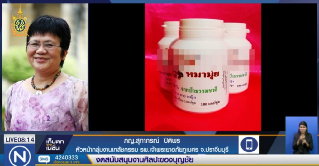 เตือนการใช้สารสกัดจาก "หมามุ่ย" เตือนการใช้สารสกัดจาก "หมามุ่ย"