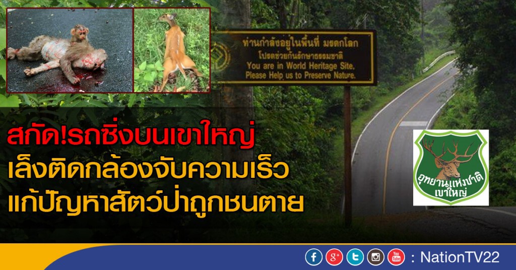 สกัด!รถซิ่งบนเขาใหญ่ เล็งติดกล้องจับความเร็ว แก้ปัญหาสัตว์ป่าถูกชนตาย