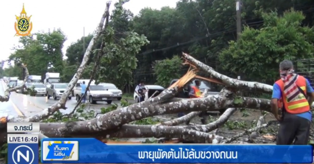 ฝนตกหนัก พัดต้นไม้ใหญ่ขวางถนน ฝนตกหนัก พัดต้นไม้ใหญ่ขวางถนน