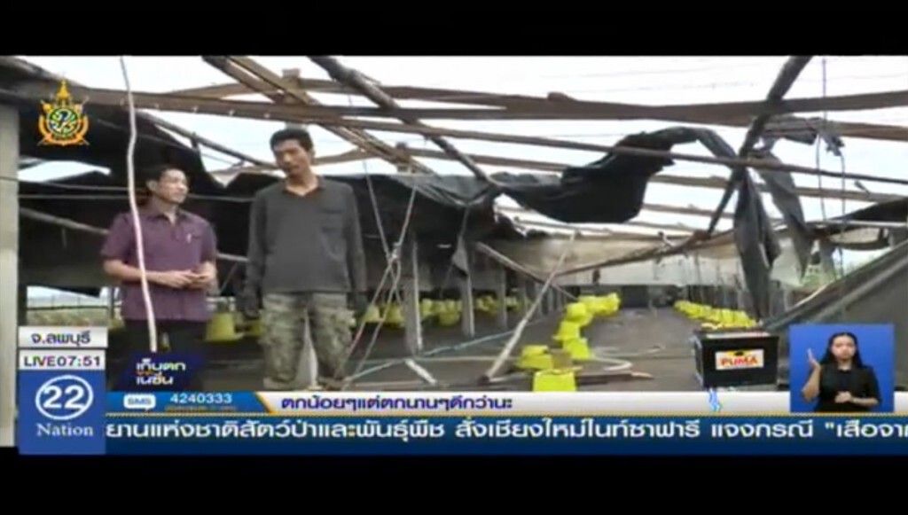 พายุพัดถล่มโรงเรือนเลี้ยงไก่ พังเสียหาย 13 โรง